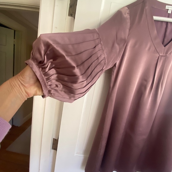 Garnet Hill rose-colored silk dress, sz 4 NWT - Picture 14 of 14